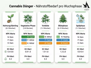 Cannabis Dünger und Wuchsphasen
