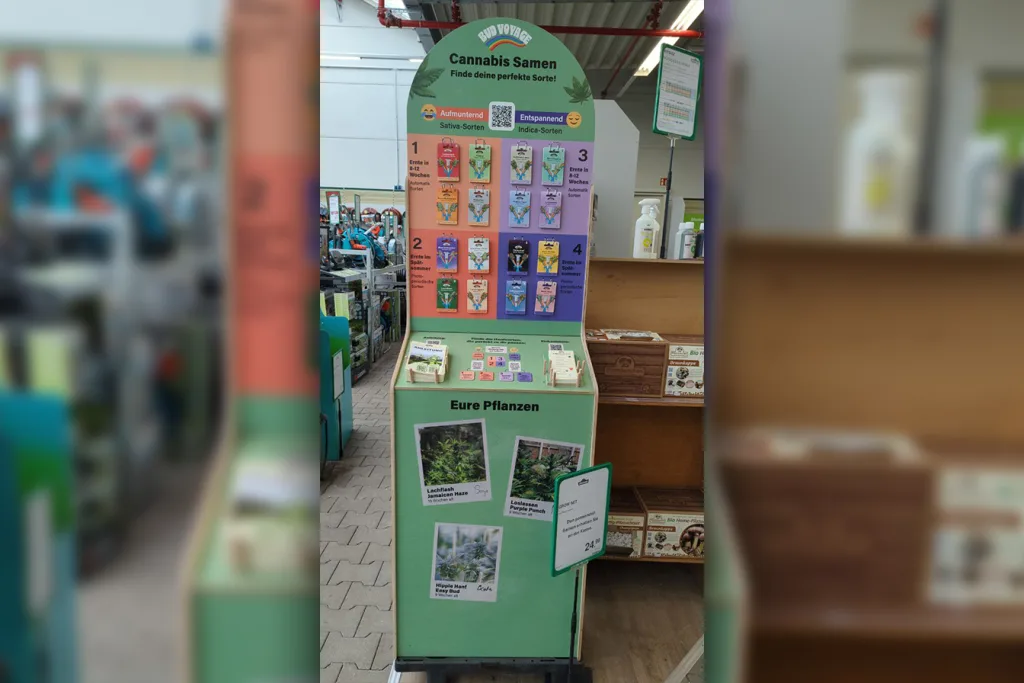 Unregulierter Verkauf von Cannabis Samen im freien Handel in Thüringen Unregulierter Verkauf von Cannabis Samen im freien Handel in Thüringen