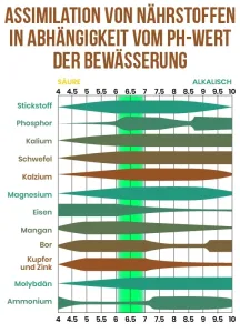 Cannabis Assimilation von Nährstoffen